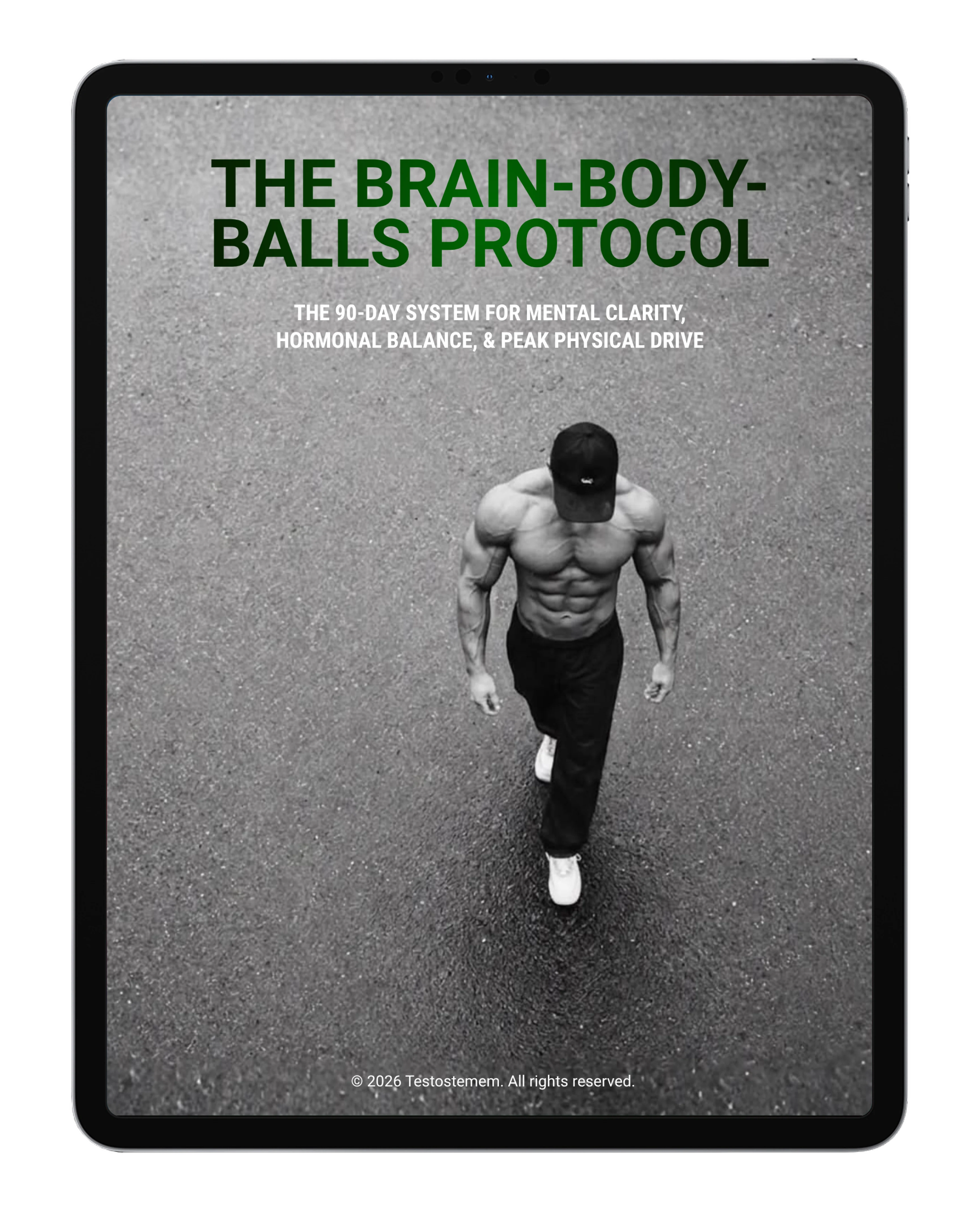 The Brain-Body-Balls Protocol ebook on a tablet